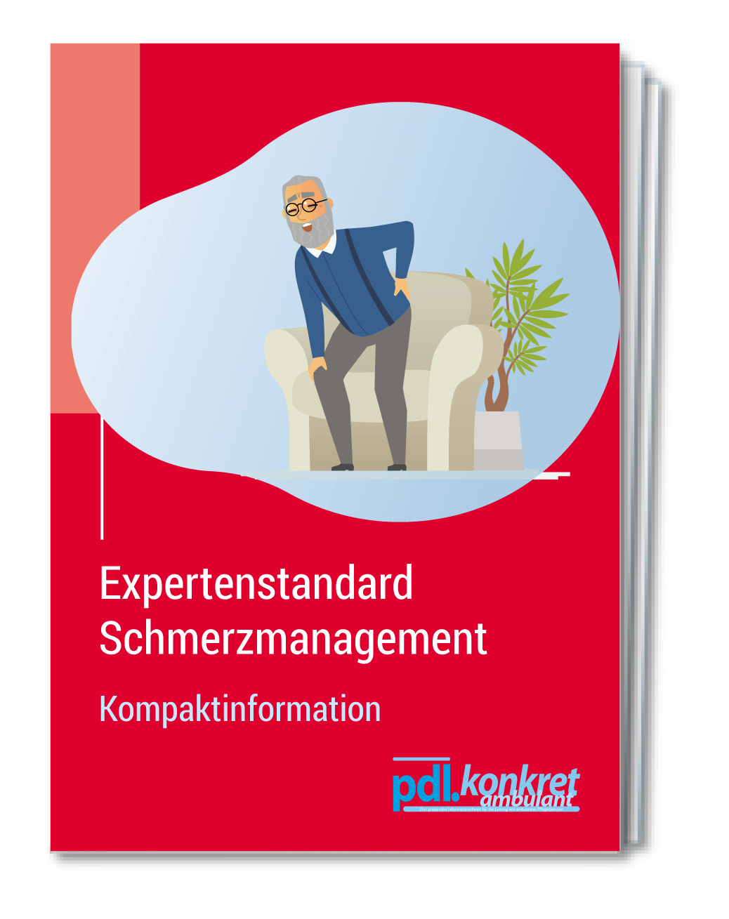 Expertenstandard Schmerzmanagement In Der Pflege Kompakt Zum Sofort